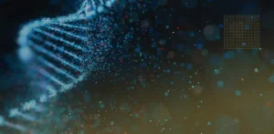 What are sirtuins and why are they important for longevity